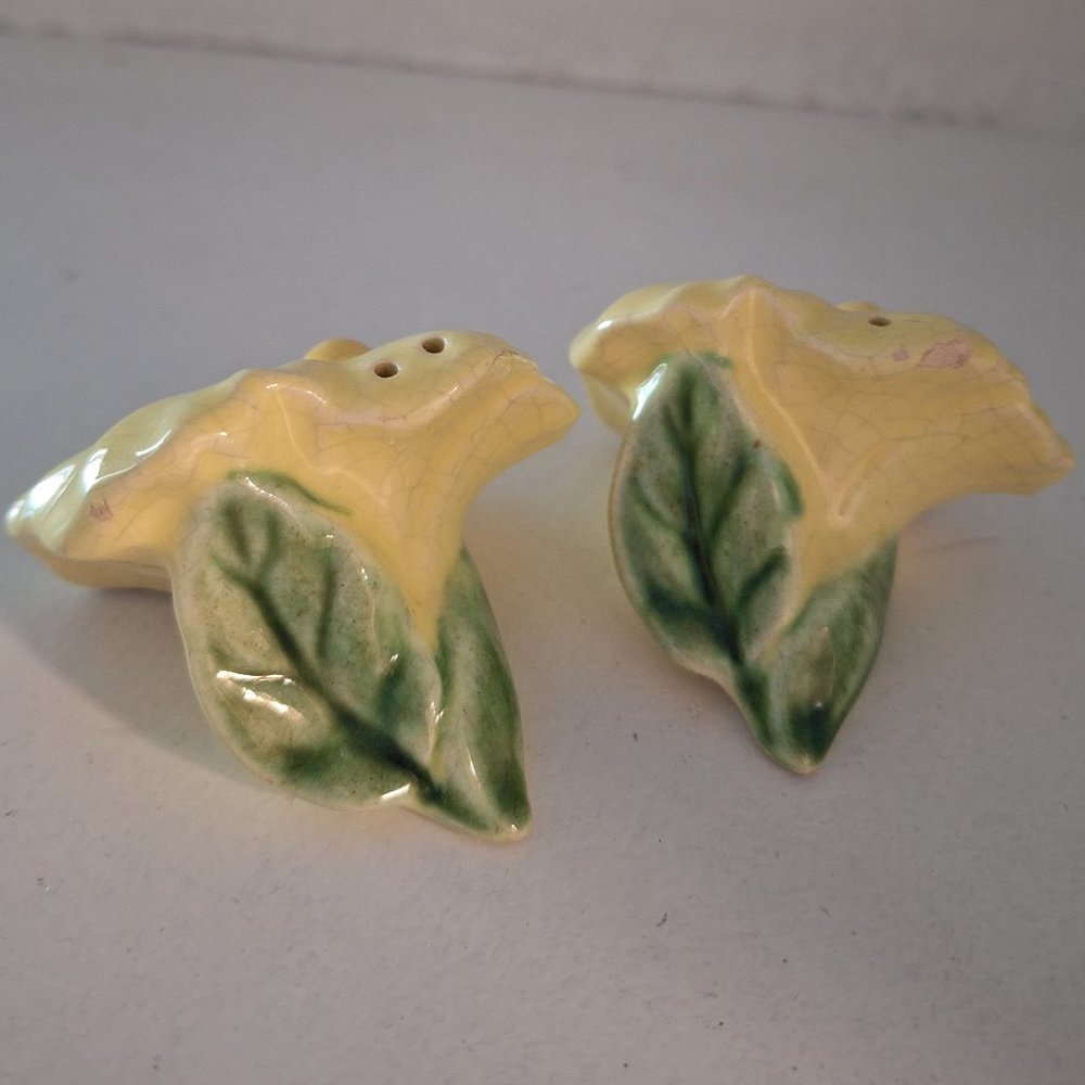 Vintage Ceramic Yellow Hibiscus Salt & Pepper Shakers Collectible